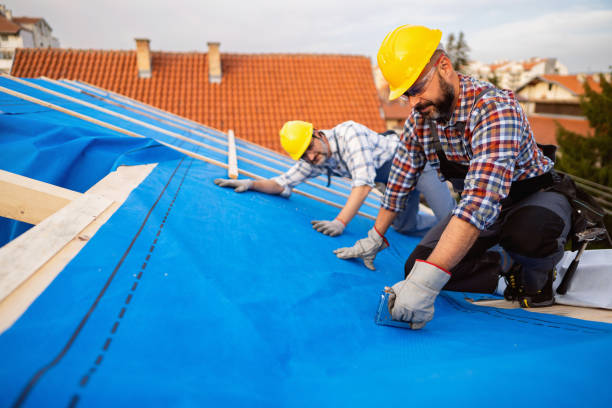 Fast & Reliable Emergency Roof Repairs in Waverly, MI