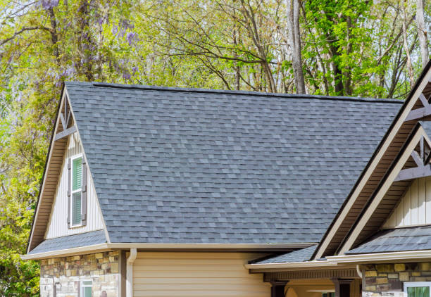 Best Roof Repair  in Waverly, MI